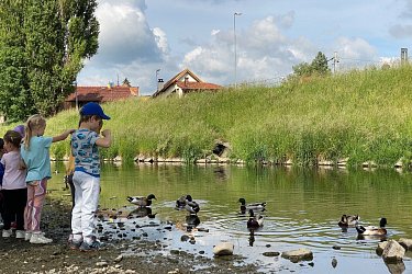 Obrázek č.42